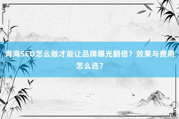青海SEO怎么做才能让品牌曝光翻倍？效果与费用怎么选？