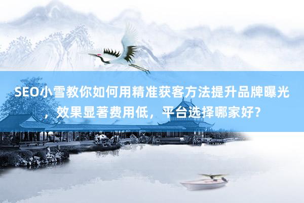 SEO小雪教你如何用精准获客方法提升品牌曝光，效果显著费用低，平台选择哪家好？