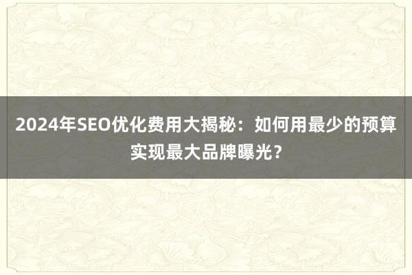 2024年SEO优化费用大揭秘：如何用最少的预算实现最大品牌曝光？