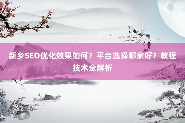 新乡SEO优化效果如何？平台选择哪家好？教程技术全解析