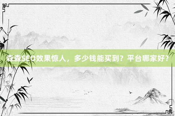 森森SEO效果惊人，多少钱能买到？平台哪家好？