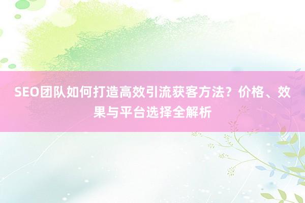 SEO团队如何打造高效引流获客方法？价格、效果与平台选择全解析