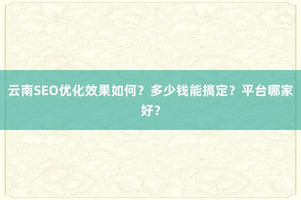云南SEO优化效果如何？多少钱能搞定？平台哪家好？