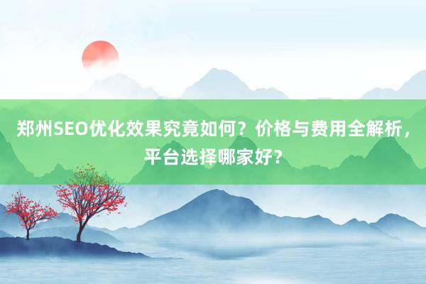 郑州SEO优化效果究竟如何？价格与费用全解析，平台选择哪家好？