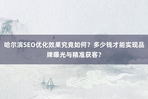 哈尔滨SEO优化效果究竟如何？多少钱才能实现品牌曝光与精准获客？