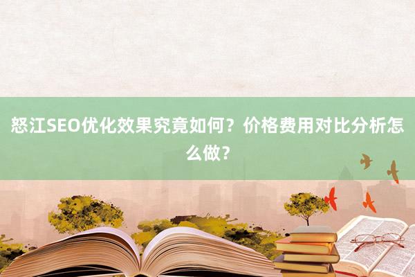 怒江SEO优化效果究竟如何？价格费用对比分析怎么做？