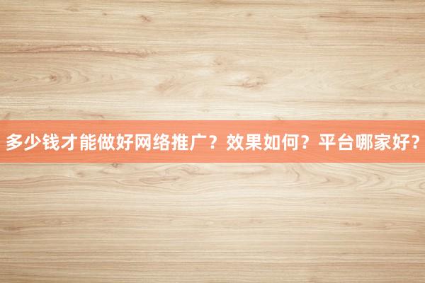 多少钱才能做好网络推广？效果如何？平台哪家好？