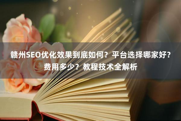 赣州SEO优化效果到底如何？平台选择哪家好？费用多少？教程技术全解析