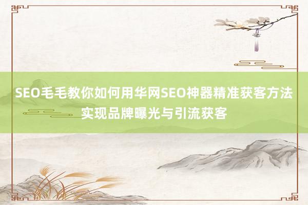 SEO毛毛教你如何用华网SEO神器精准获客方法实现品牌曝光与引流获客