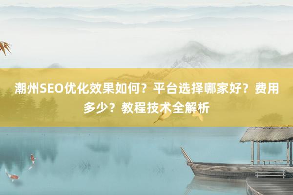 潮州SEO优化效果如何？平台选择哪家好？费用多少？教程技术全解析