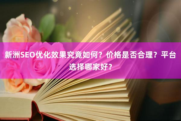 新洲SEO优化效果究竟如何？价格是否合理？平台选择哪家好？