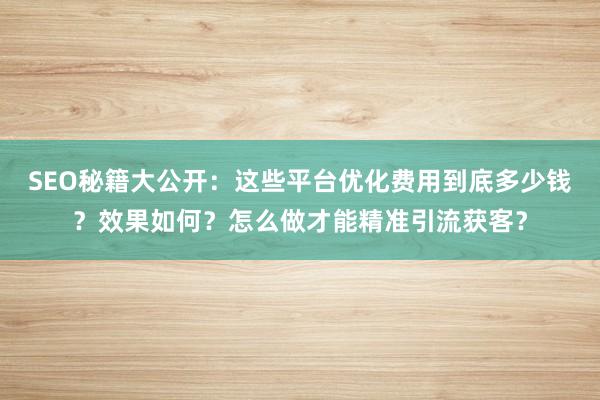 SEO秘籍大公开：这些平台优化费用到底多少钱？效果如何？怎么做才能精准引流获客？