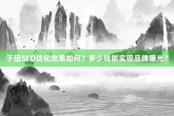 于田SEO优化效果如何？多少钱能实现品牌曝光？
