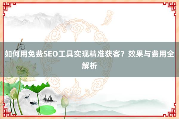 如何用免费SEO工具实现精准获客？效果与费用全解析