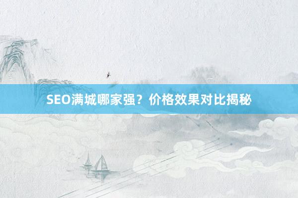 SEO满城哪家强？价格效果对比揭秘