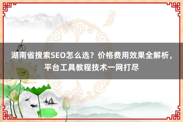 湖南省搜索SEO怎么选？价格费用效果全解析，平台工具教程技术一网打尽