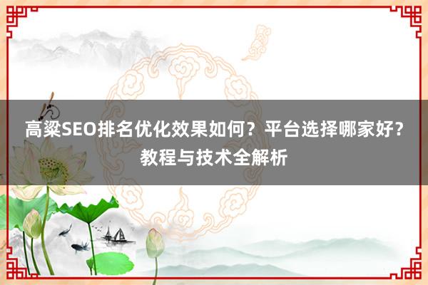 高粱SEO排名优化效果如何？平台选择哪家好？教程与技术全解析