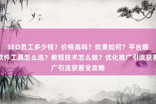 SEO员工多少钱？价格高吗？效果如何？平台哪家好？软件工具怎么选？教程技术怎么做？优化推广引流获客全攻略