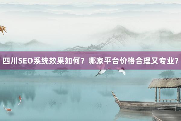 四川SEO系统效果如何？哪家平台价格合理又专业？