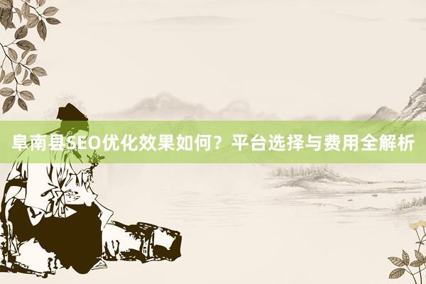 阜南县SEO优化效果如何？平台选择与费用全解析