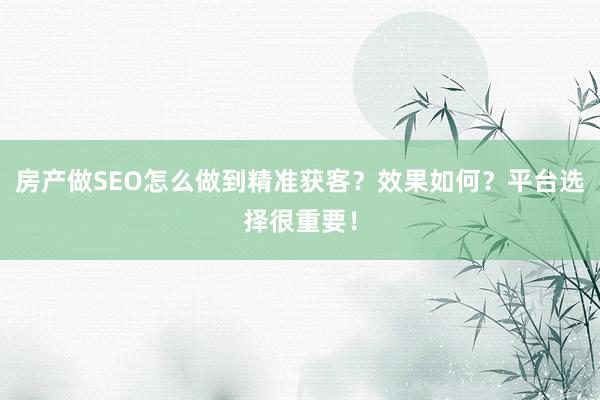 房产做SEO怎么做到精准获客？效果如何？平台选择很重要！
