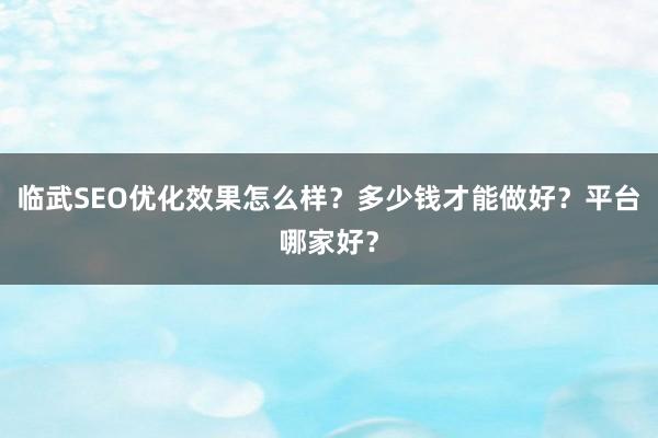 临武SEO优化效果怎么样？多少钱才能做好？平台哪家好？