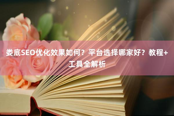 娄底SEO优化效果如何？平台选择哪家好？教程+工具全解析
