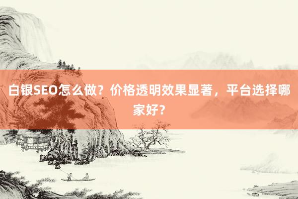 白银SEO怎么做？价格透明效果显著，平台选择哪家好？