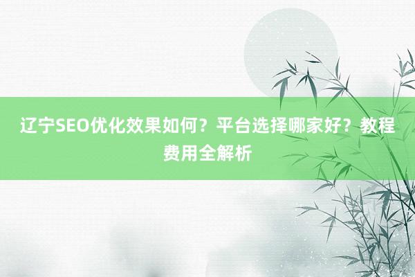 辽宁SEO优化效果如何？平台选择哪家好？教程费用全解析