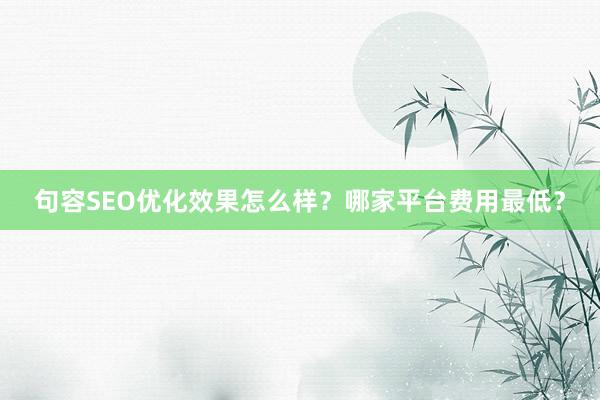 句容SEO优化效果怎么样？哪家平台费用最低？