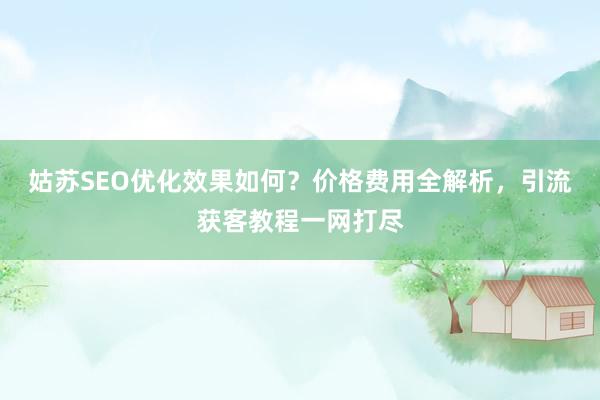 姑苏SEO优化效果如何？价格费用全解析，引流获客教程一网打尽