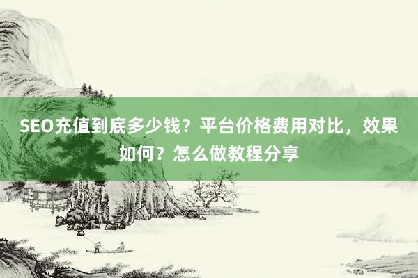 SEO充值到底多少钱？平台价格费用对比，效果如何？怎么做教程分享
