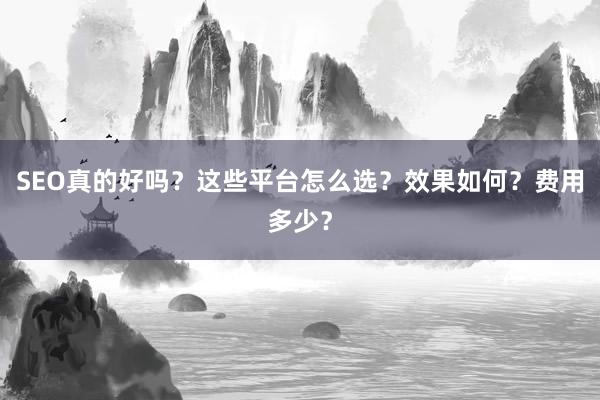 SEO真的好吗？这些平台怎么选？效果如何？费用多少？