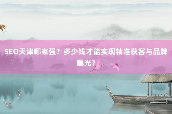 SEO天津哪家强？多少钱才能实现精准获客与品牌曝光？
