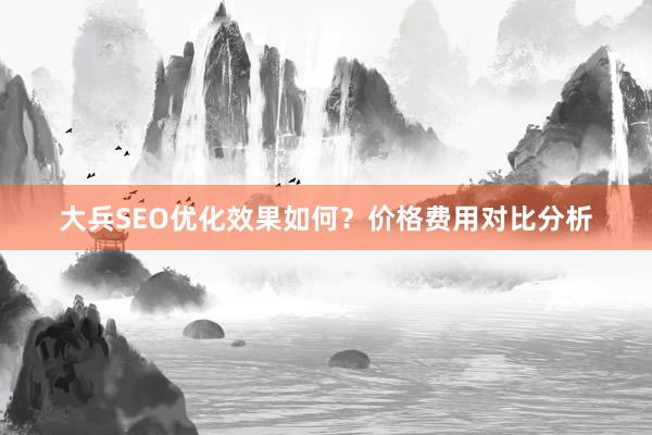 大兵SEO优化效果如何？价格费用对比分析