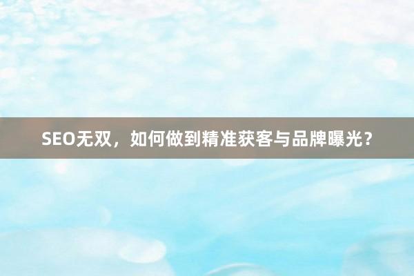 SEO无双，如何做到精准获客与品牌曝光？