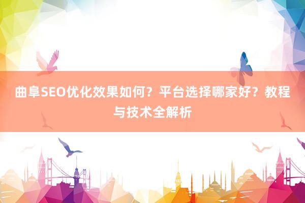 曲阜SEO优化效果如何？平台选择哪家好？教程与技术全解析