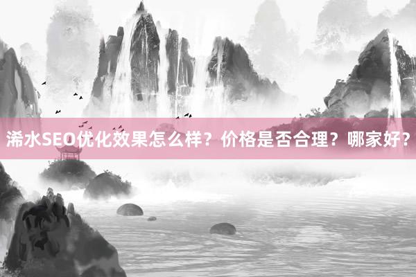 浠水SEO优化效果怎么样？价格是否合理？哪家好？