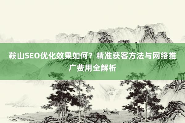 鞍山SEO优化效果如何？精准获客方法与网络推广费用全解析