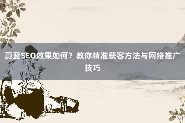 蔚蓝SEO效果如何？教你精准获客方法与网络推广技巧