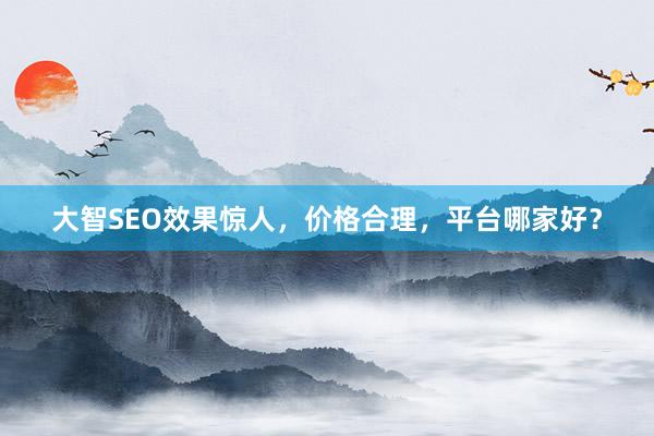 大智SEO效果惊人，价格合理，平台哪家好？