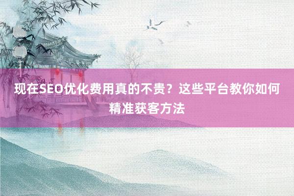 现在SEO优化费用真的不贵？这些平台教你如何精准获客方法