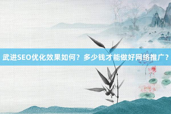 武进SEO优化效果如何？多少钱才能做好网络推广？