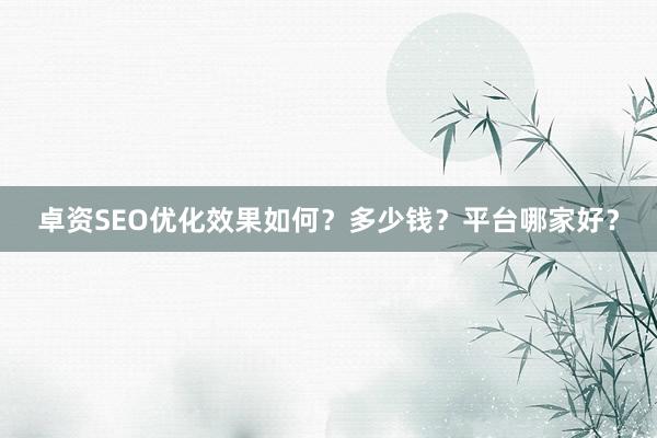 卓资SEO优化效果如何？多少钱？平台哪家好？