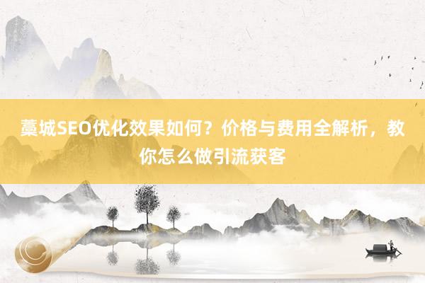 藁城SEO优化效果如何？价格与费用全解析，教你怎么做引流获客