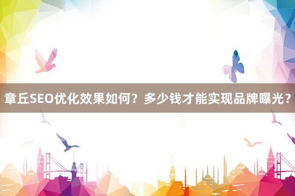 章丘SEO优化效果如何？多少钱才能实现品牌曝光？