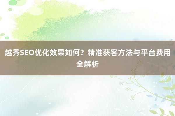 越秀SEO优化效果如何？精准获客方法与平台费用全解析