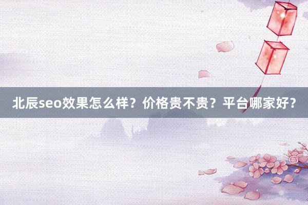 北辰seo效果怎么样？价格贵不贵？平台哪家好？