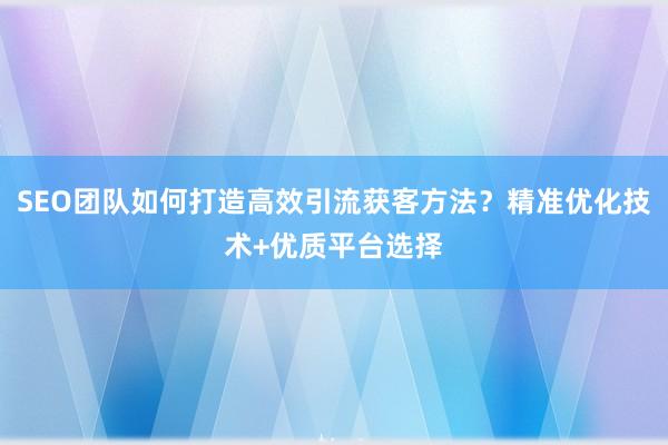 SEO团队如何打造高效引流获客方法？精准优化技术+优质平台选择