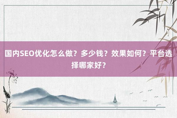 国内SEO优化怎么做？多少钱？效果如何？平台选择哪家好？